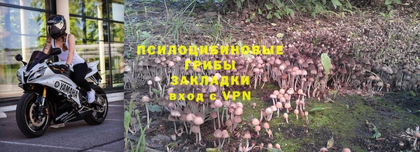 трава Балахна
