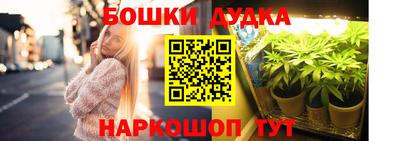 крисы Бийск