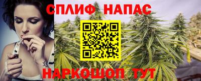 крисы Бийск