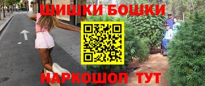 крисы Бийск