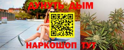 крисы Бийск