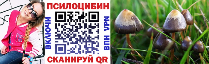 купить   Белово  Галлюциногенные грибы GOLDEN TEACHER 