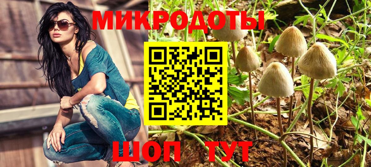 Белово  Псилоцибиновые грибы прущие грибы  Вход с VPN  Галлюциногенные грибы Cubensis 